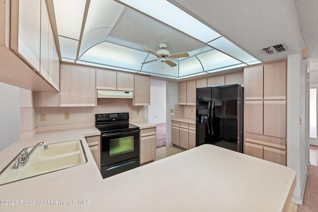 11425 Beechdale Avenue, Spring Hill, FL 34608