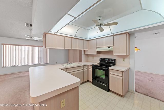 11425 Beechdale Avenue, Spring Hill, FL 34608