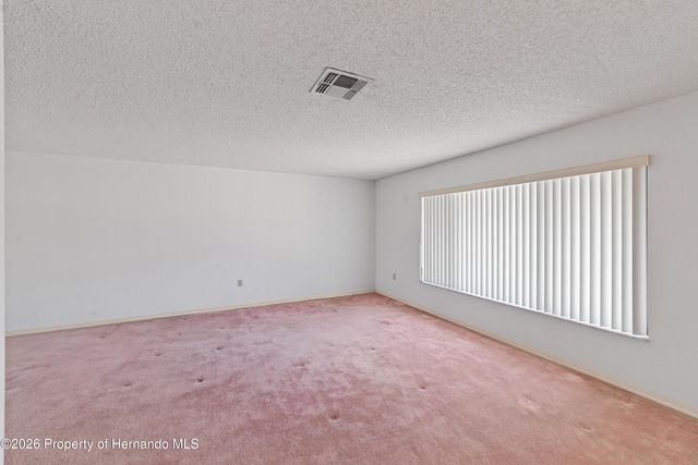 11425 Beechdale Avenue, Spring Hill, FL 34608
