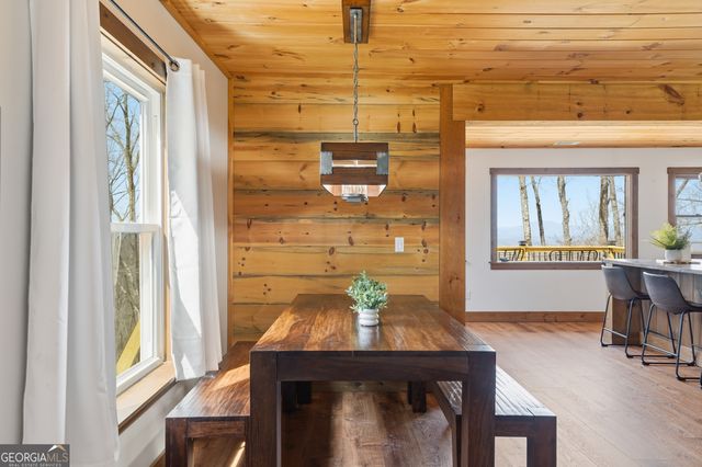 199 Highland Circle, Blue Ridge, GA 30513