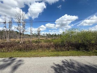 GREEN WILLOW RUN LOT 746, Wesley Chapel, FL 33544