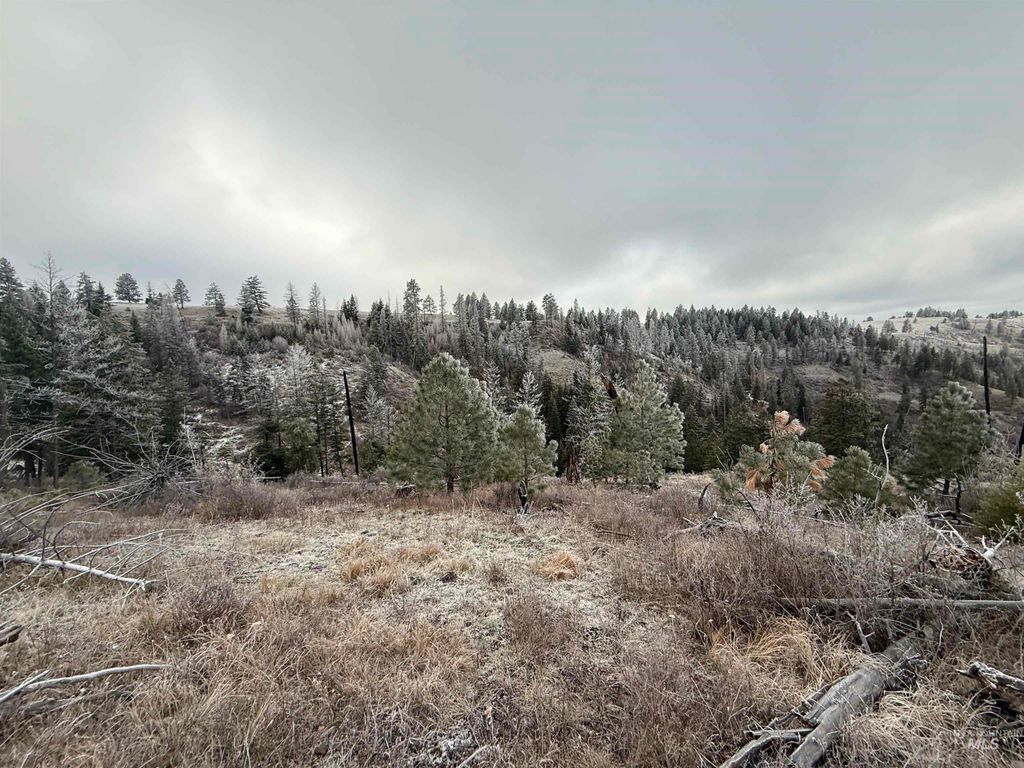 TBD Billy Creek Rd., CottonWood, ID 83522 photo 10
