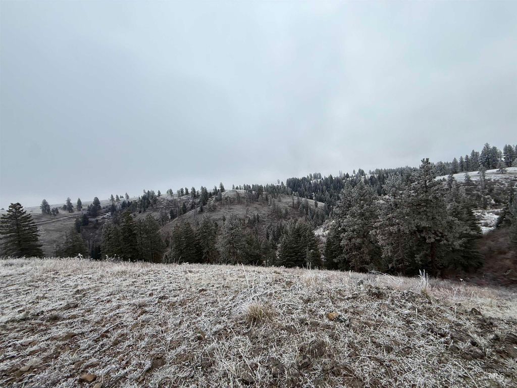 TBD Billy Creek Rd., CottonWood, ID 83522 photo 11