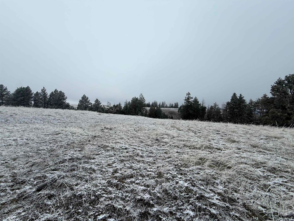 TBD Billy Creek Rd., CottonWood, ID 83522 photo 12