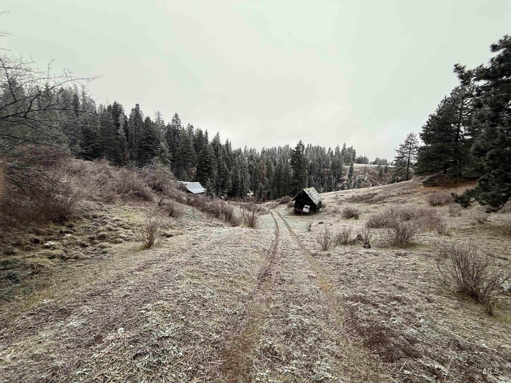 TBD Billy Creek Rd., CottonWood, ID 83522 photo 13