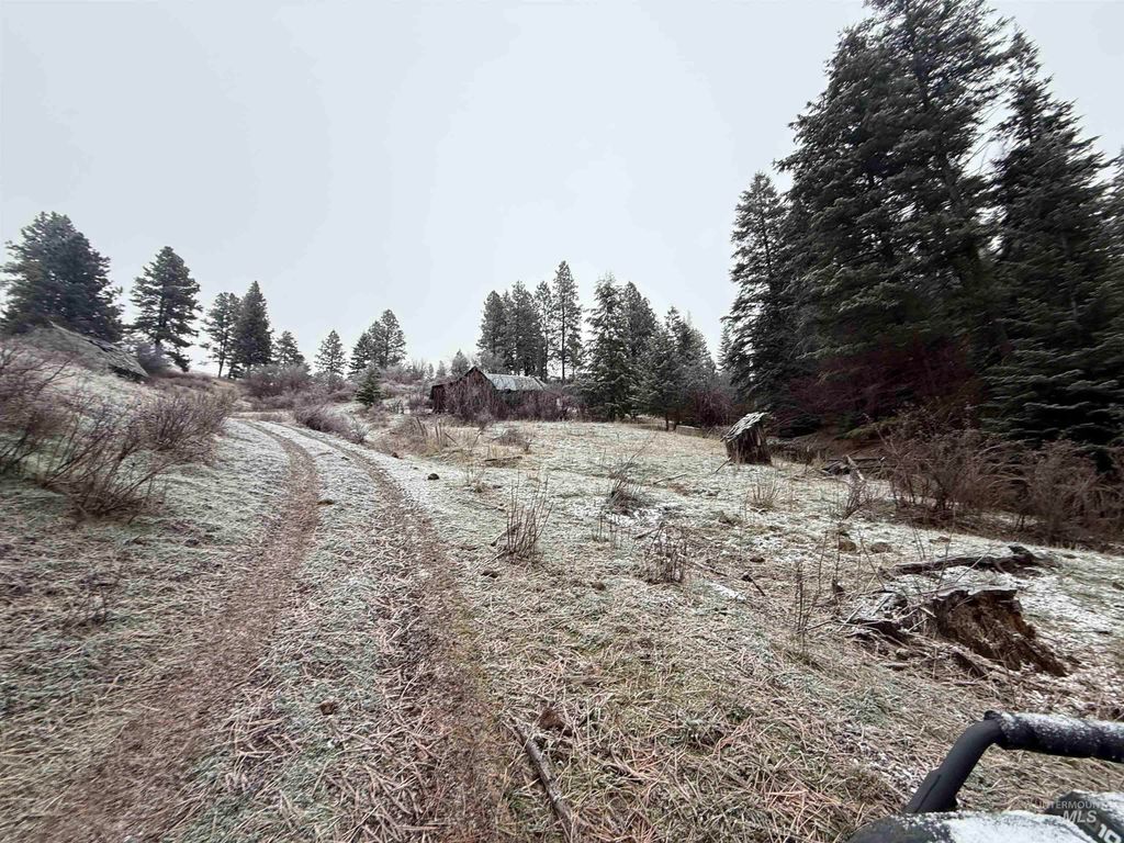 TBD Billy Creek Rd., CottonWood, ID 83522 photo 14