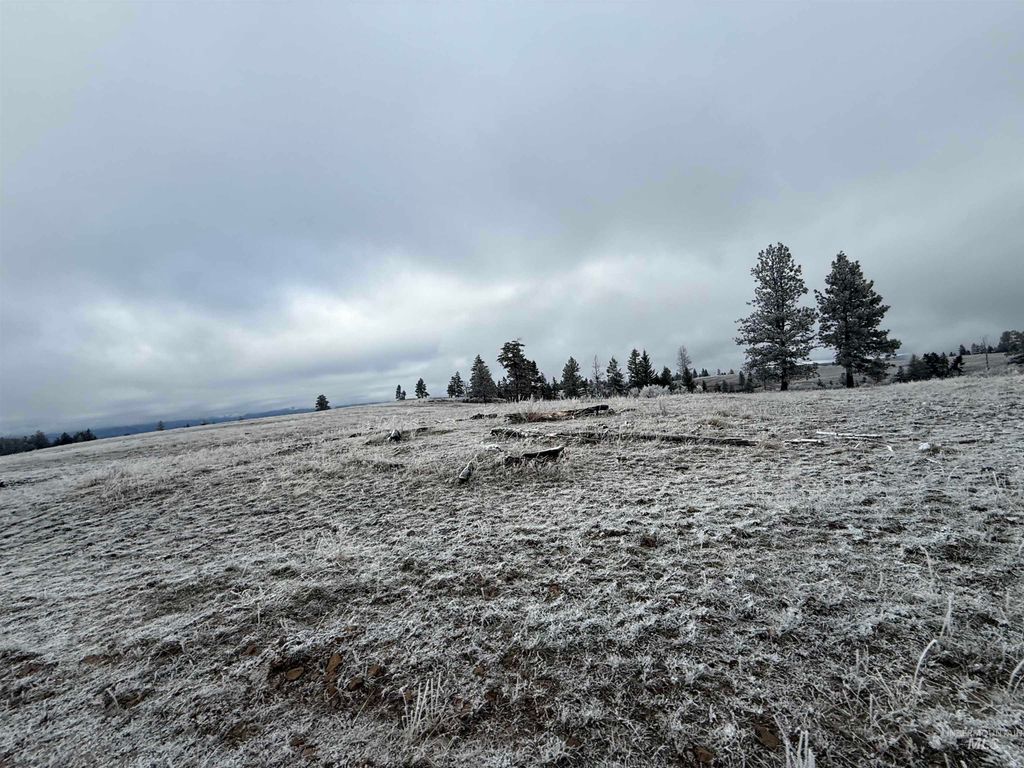 TBD Billy Creek Rd., CottonWood, ID 83522 photo 15