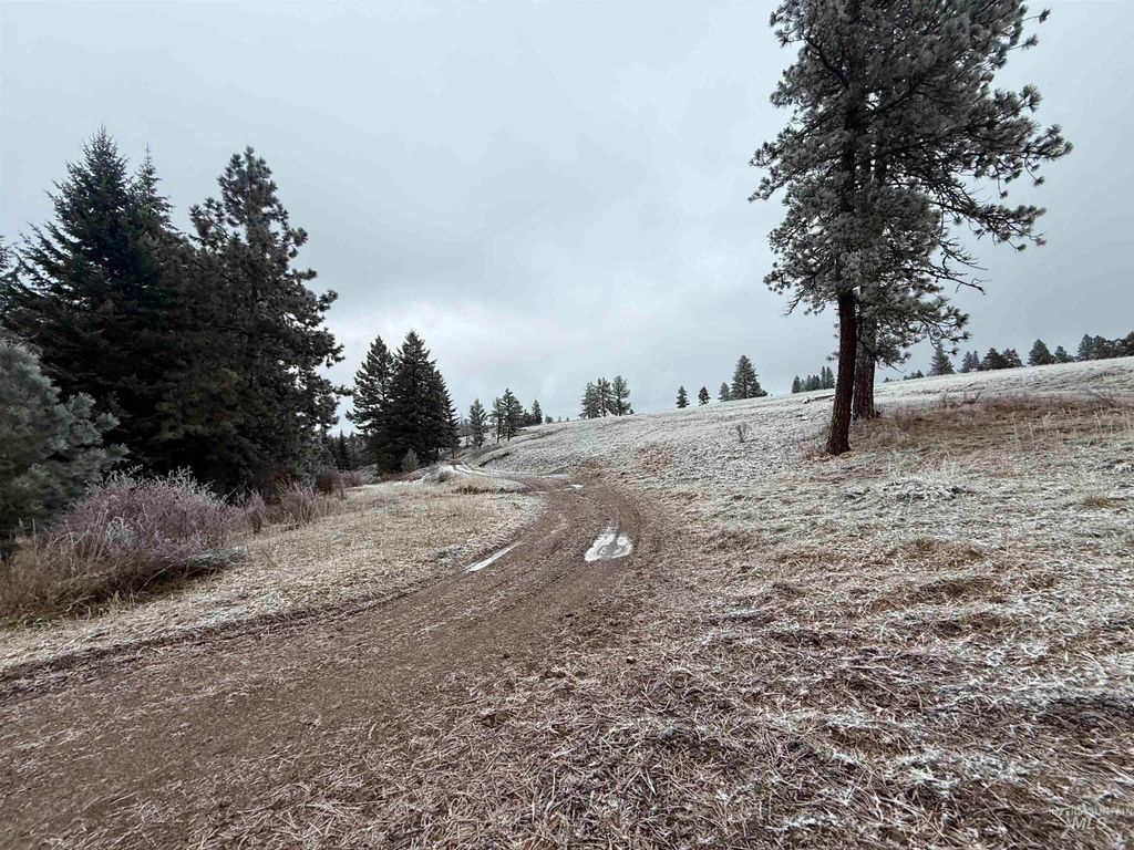 TBD Billy Creek Rd., CottonWood, ID 83522 photo 16