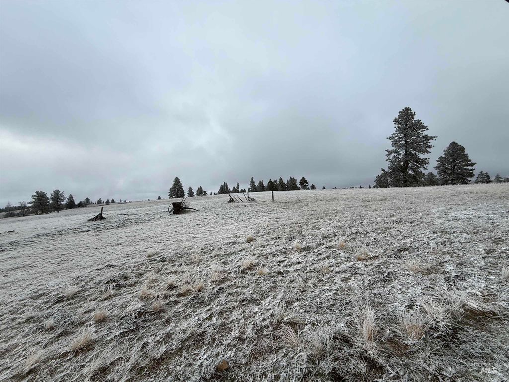 TBD Billy Creek Rd., CottonWood, ID 83522 photo 17