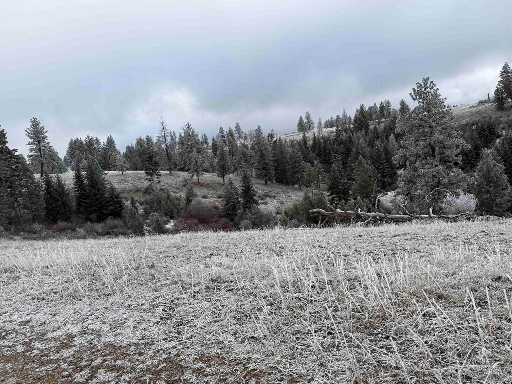 TBD Billy Creek Rd., CottonWood, ID 83522 photo 18