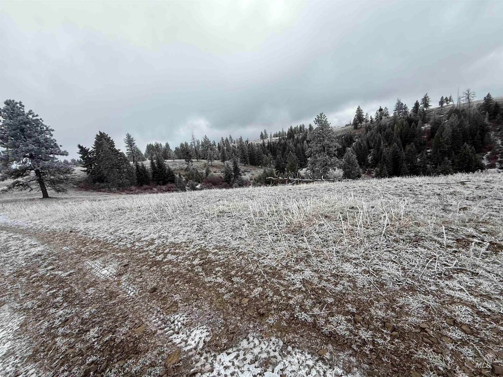 TBD Billy Creek Rd., CottonWood, ID 83522 photo 19