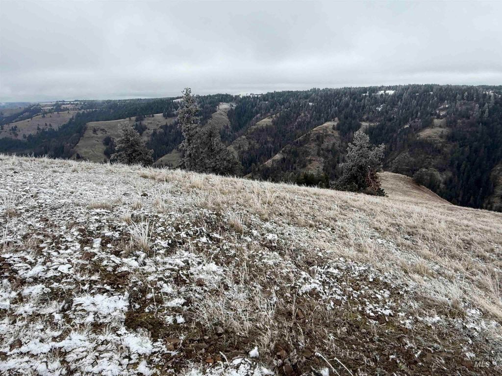TBD Billy Creek Rd., CottonWood, ID 83522 photo 23