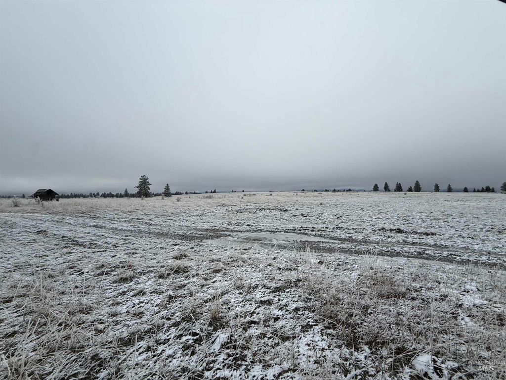 TBD Billy Creek Rd., CottonWood, ID 83522 photo 24