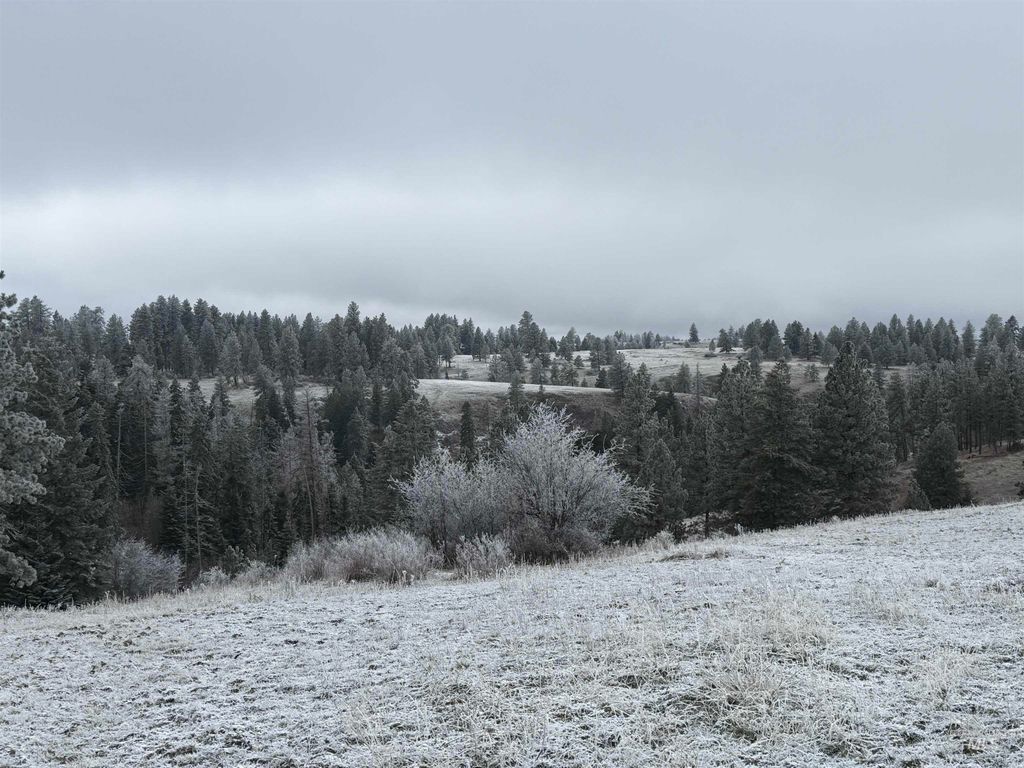 TBD Billy Creek Rd., CottonWood, ID 83522 photo 25