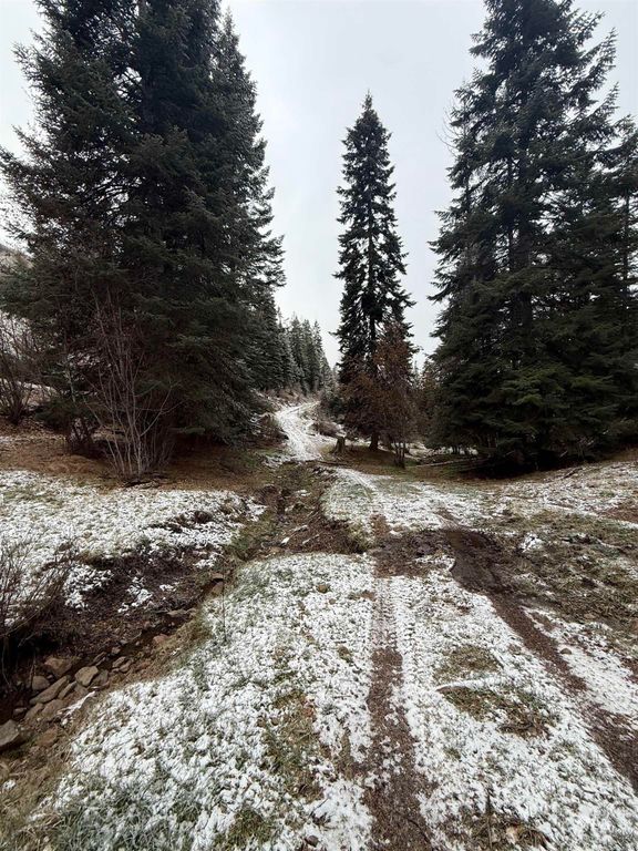 TBD Billy Creek Rd., CottonWood, ID 83522 photo 29