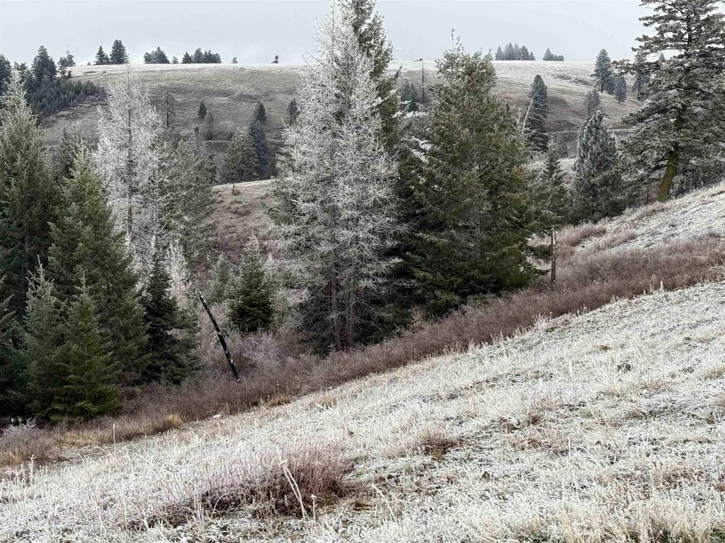 TBD Billy Creek Rd., CottonWood, ID 83522 photo 30