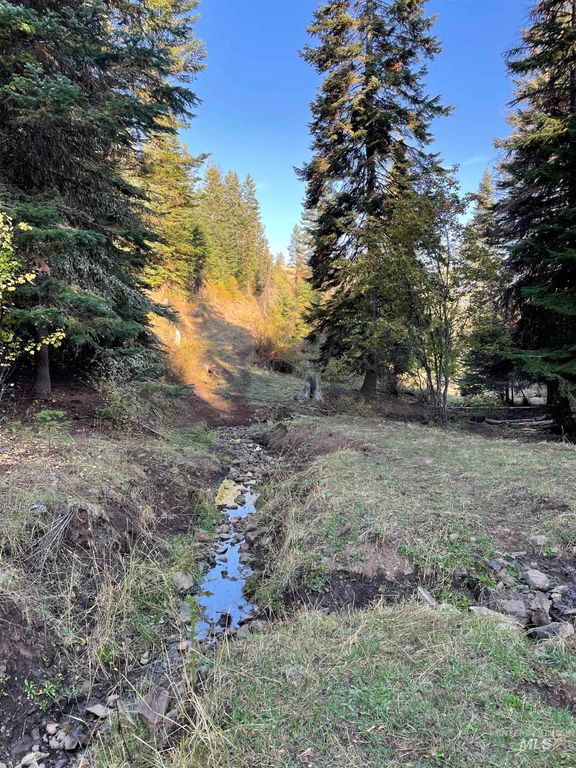 TBD Billy Creek Rd., CottonWood, ID 83522 photo 33