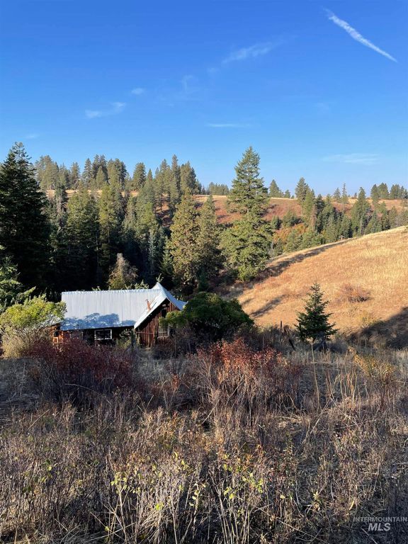 TBD Billy Creek Rd., CottonWood, ID 83522 photo 37