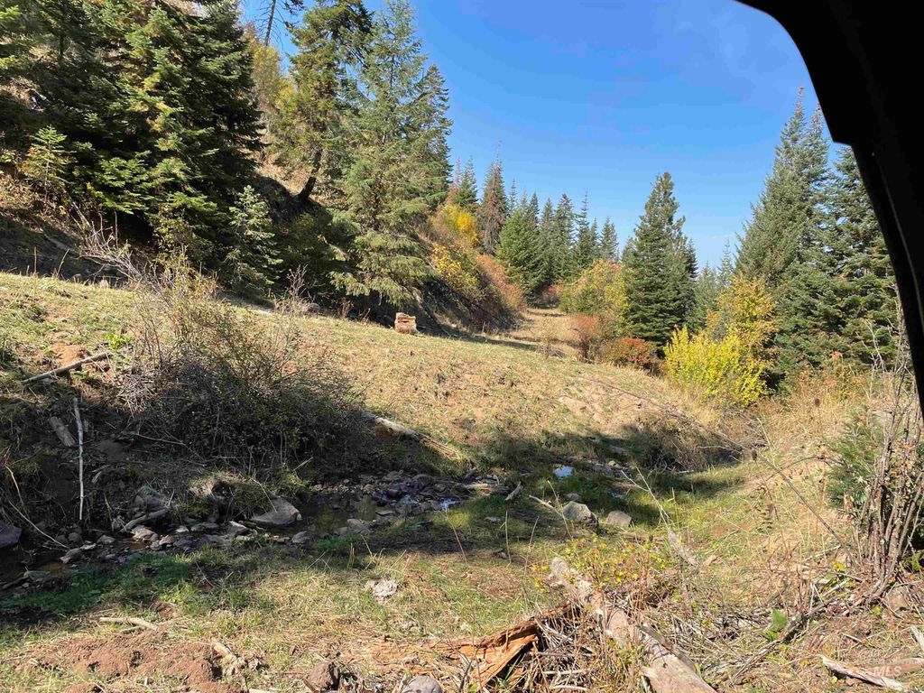 TBD Billy Creek Rd., CottonWood, ID 83522 photo 40