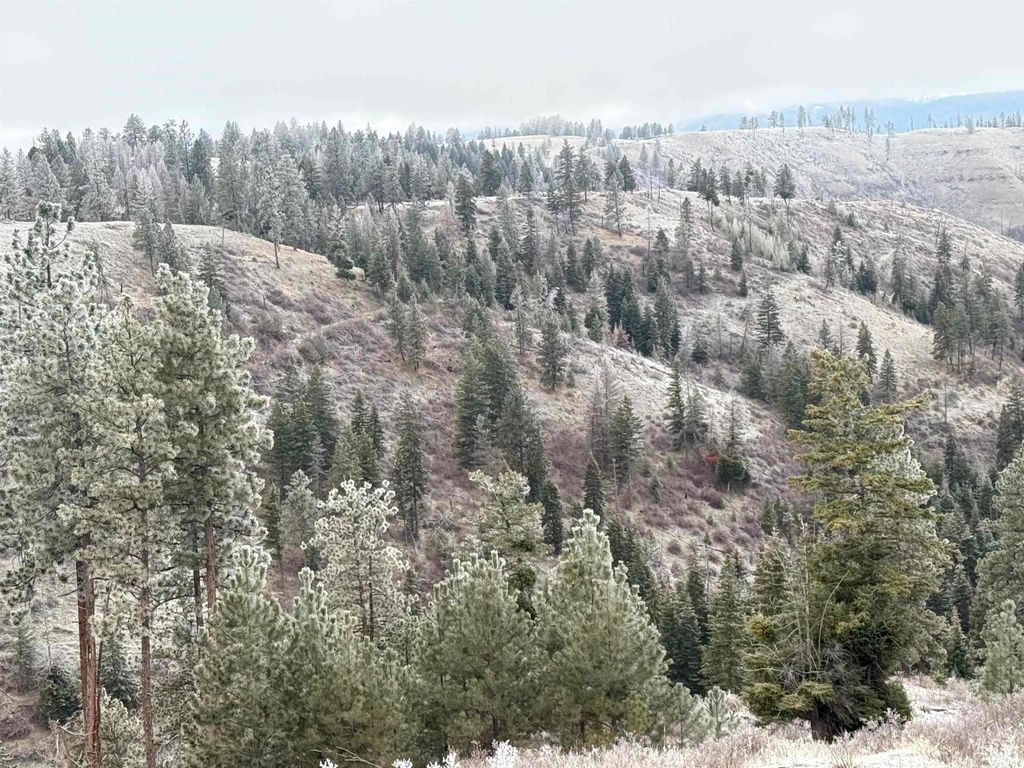 TBD Billy Creek Rd., CottonWood, ID 83522 photo 6