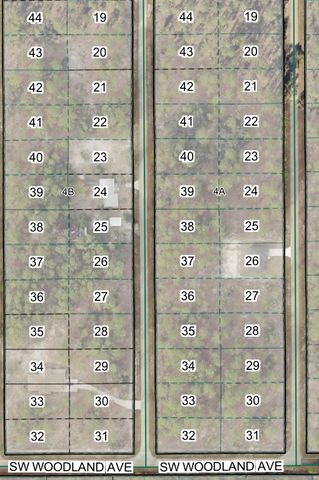 Tbd SW Buena Vista Road, Dunnellon, FL 34431