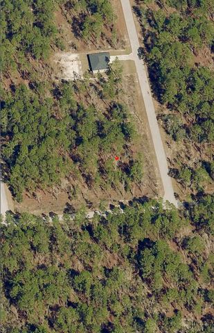 Tbd SW Buena Vista Road, Dunnellon, FL 34431