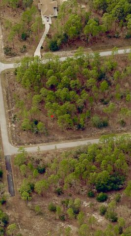 Tbd SW Buena Vista Road, Dunnellon, FL 34431