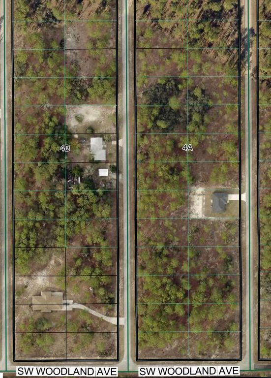 Tbd SW Buena Vista Road, Dunnellon, FL 34431