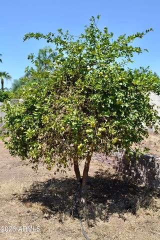 9308 E LUPINE Avenue, Scottsdale, AZ 85260