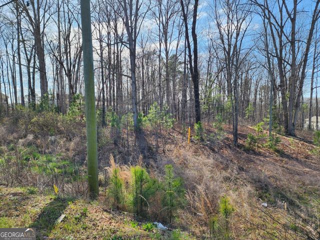 0 Highway 92, Douglasville, GA 30134