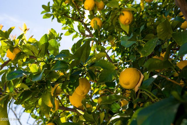 5035 E Duane Lane, Cave Creek, AZ 85331