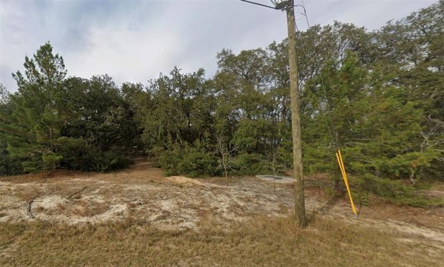 FISHER WAY COURSE, Ocklawaha, FL 32179