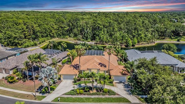 4561 ROANOAK WAY, Palm Harbor, FL 34685