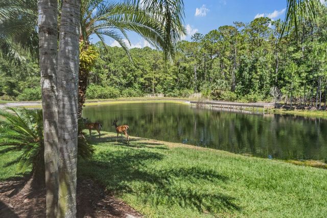 4561 ROANOAK WAY, Palm Harbor, FL 34685