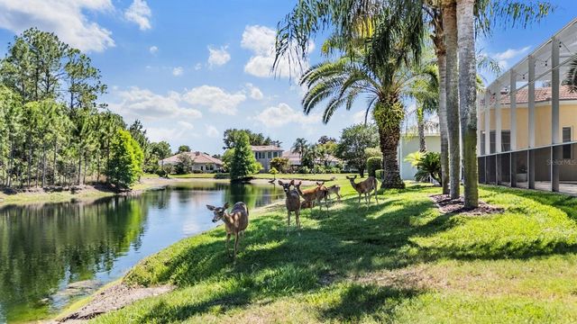 4561 ROANOAK WAY, Palm Harbor, FL 34685