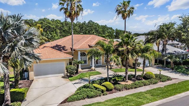 4561 ROANOAK WAY, Palm Harbor, FL 34685