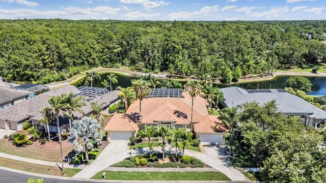 4561 ROANOAK WAY, Palm Harbor, FL 34685