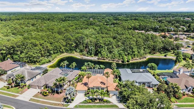 4561 ROANOAK WAY, Palm Harbor, FL 34685