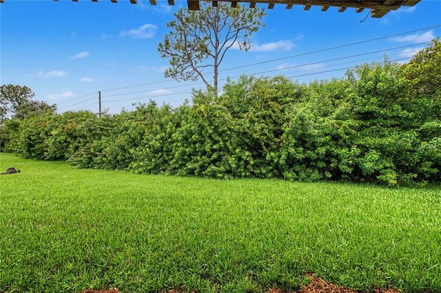 123 LOBLOLLY COURT A, Oldsmar, FL 34677
