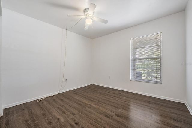 4208 WINDING MOSS TRAIL 102, Tampa, FL 33613