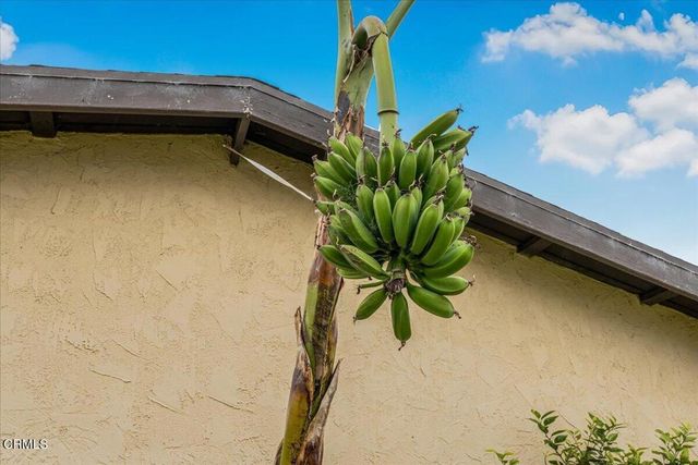 970 Laurel Street W, Oxnard, CA 93033