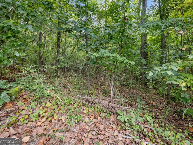 433 Emily Forest Way, Pendergrass, GA 30567