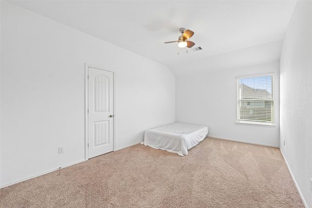 17223 Bainham Forest Trail, Hockley, TX 77447