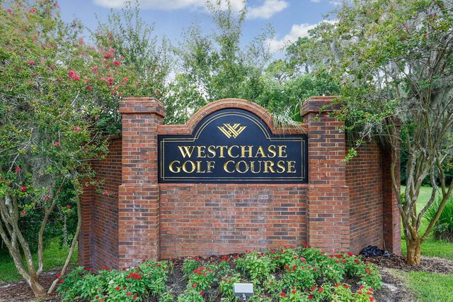 10238 WOODFORD BRIDGE STREET, Tampa, FL 33626
