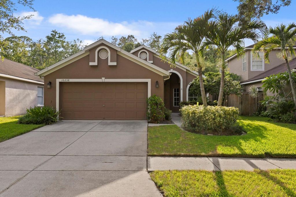 10238 WOODFORD BRIDGE STREET, Tampa, FL 33626