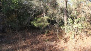 0 Pin Tail Drive, Coldspring, TX 77331