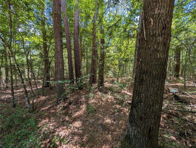 0 Rd 2721, Cleveland, TX 77327