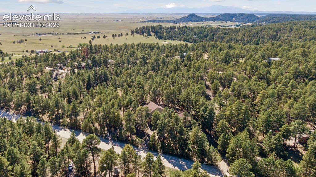 17170 Lodgepole Road, Peyton, CO 80831 — photo 4
