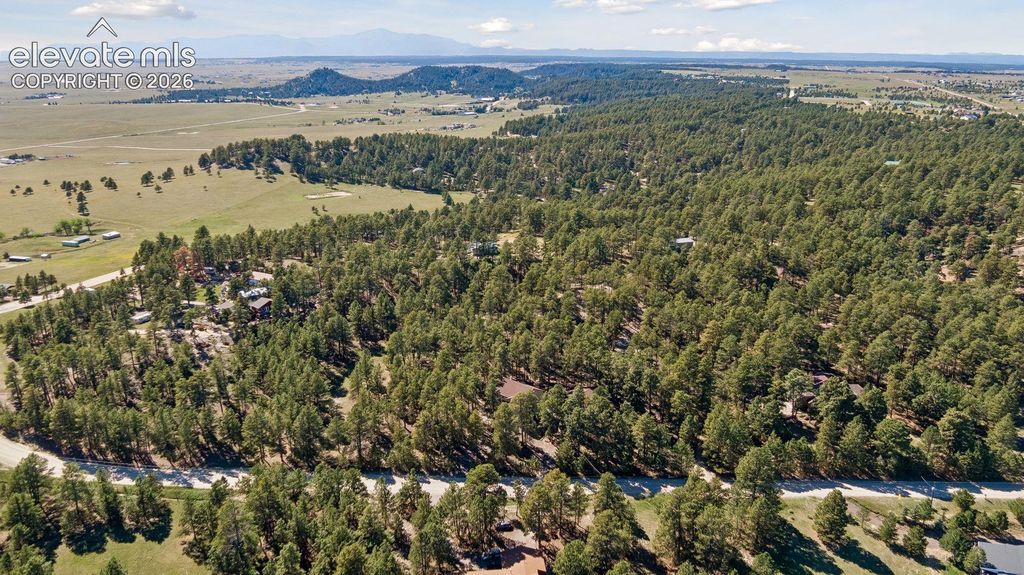 17170 Lodgepole Road, Peyton, CO 80831 — photo 5