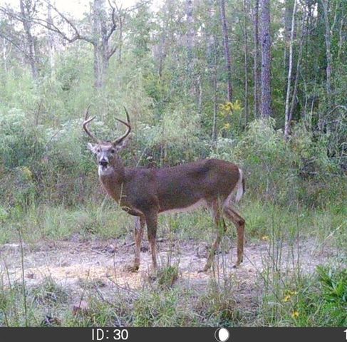 24378 N Highway 383, Iowa, LA 70647